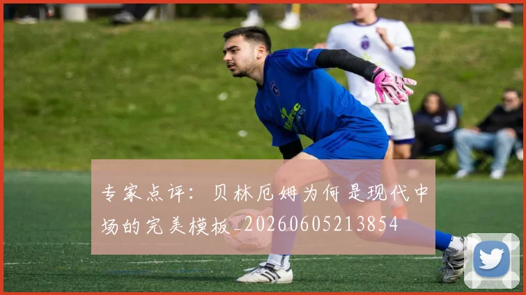 专家点评:贝林厄姆为何是现代中场的完美模板_20260605213854
