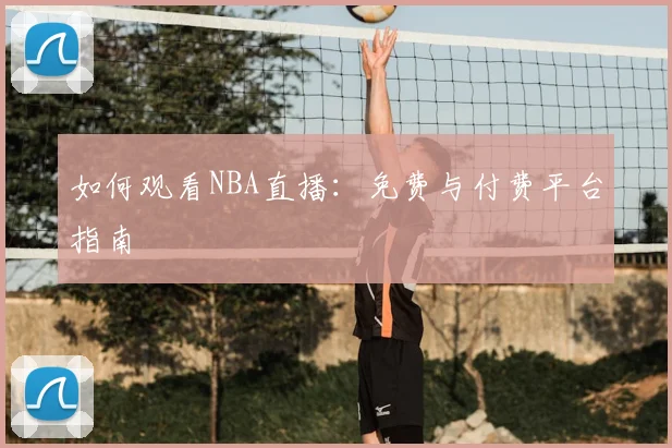 如何观看NBA直播：免费与付费平台指南